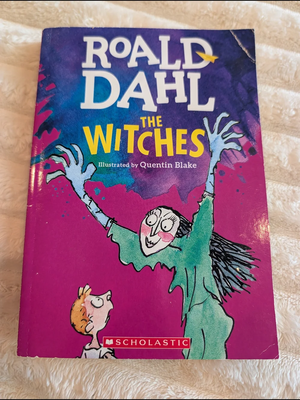 Scholastic Purple & Teal Illustrated Cover - The Witches by Roald Dahl